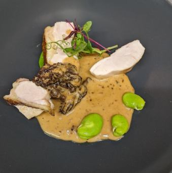 Roasted Okukuji Shamo Chicken from Ibaraki Prefecture with Supreme Morel Mushroom Sauce