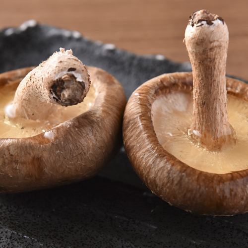 どんこ椎茸とお出汁