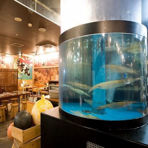 There is also a private room for digging inside the store where fish swim