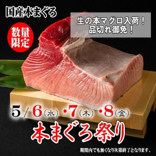 《生本まぐろ祭》5/6(水)～8(金)の3日間の限定開催！