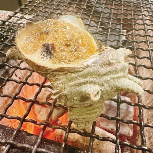 A must-have for sake lovers! Extra-large turban shell grilled in a pot
