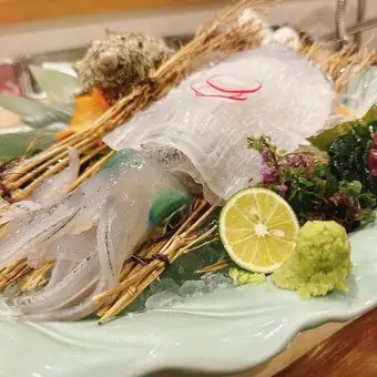 [Freshly Prepared Yobuko Squid Sashimi] and Hakata Sesame Mackerel & Black Cod Premium Fresh Sashimi Course (2-hour all-you-can-drink) 7,000 yen