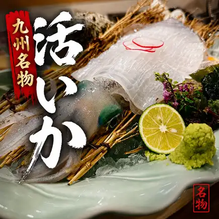 【预订】预订新鲜鱿鱼！【仅限单只鱿鱼】