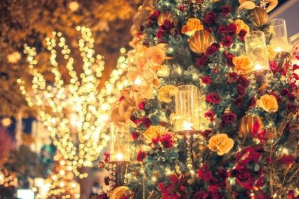 【12月23・24・25日限定】specialクリスマスコース 8000円 (お料理のみ)