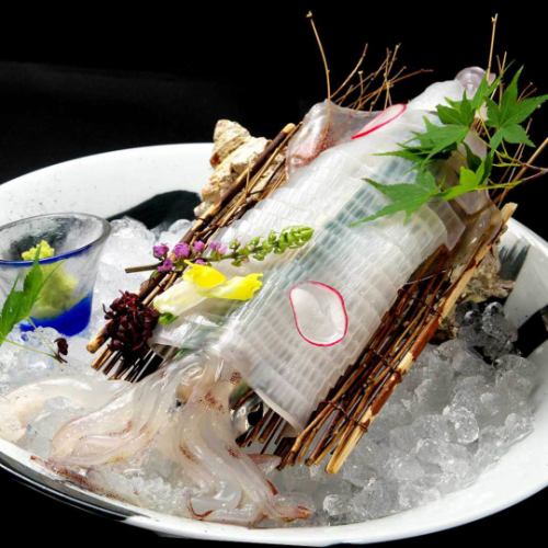 活鱿鱼刺身（当季商品）建议提前预订