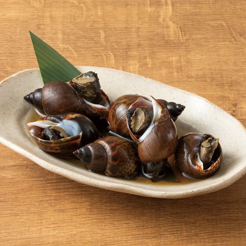 【新潟縣】煮黑扇貝