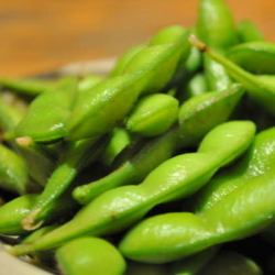 Edamame with Japanese pepper
