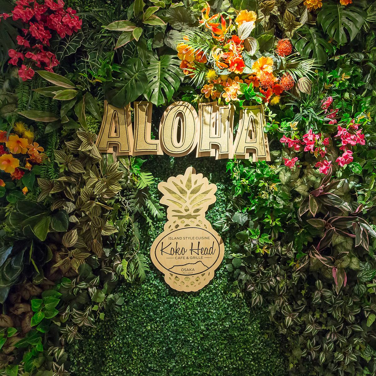 SNS映え間違いなしのオシャレな空間で料理をお楽しみください♪