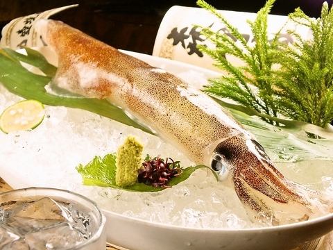 When you think of swimming squid in Sakai, it's Zen no Stale!! You can only eat it at our restaurant.Have you ever eaten live squid?