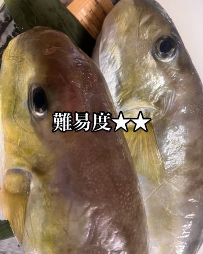 Can you guess the name? Series
I won't check the answers though (laughs).

#Yagura #Masked pufferfish #Mishima stonefish #Miyakoboragai
https://zensuta2006.owst.jp/
#Seafood Izakaya
#Zen style
#seafood
#Izakaya
#fishtank
#Live fish
#foodie
#Osaka gourmet
#Sakai City Gourmet
#Mikunigaoka Gourmet
#Sakai