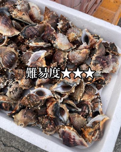 你能猜出這個系列的名字嗎？
我不會匹配答案（笑）

#烤肉 #鯖魚河豚魚 #Okoze #Okoze
https://zensuta2006.owst.jp/
#海鮮居酒屋
#禪之階梯
＃海鮮
＃酒館
#魚缸
#活魚
#foodie
#大阪美食
#堺市美食
#三國丘美食
#堺