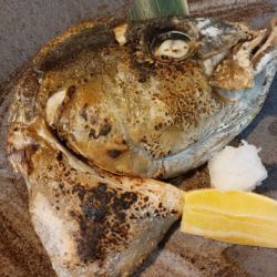 Avocado Mayonnaise / Grilled Amberjack Flounder with Salt