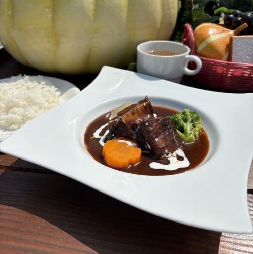 特製柔らかビーフシチュー（セット）