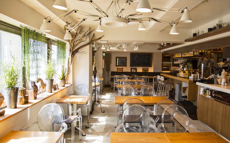 ミクロコスモス Microcosmos 渋谷 公式