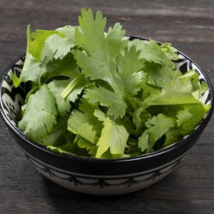 Coriander