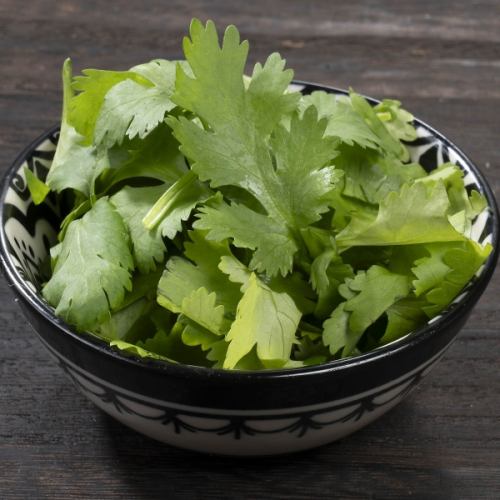 Coriander