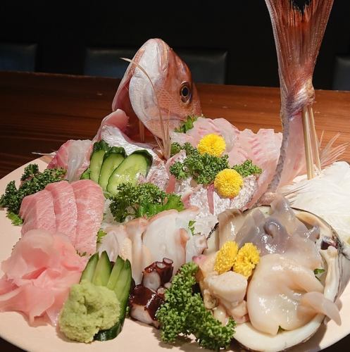 Assorted sashimi utilizing "fishing fish" (special assorted photo)