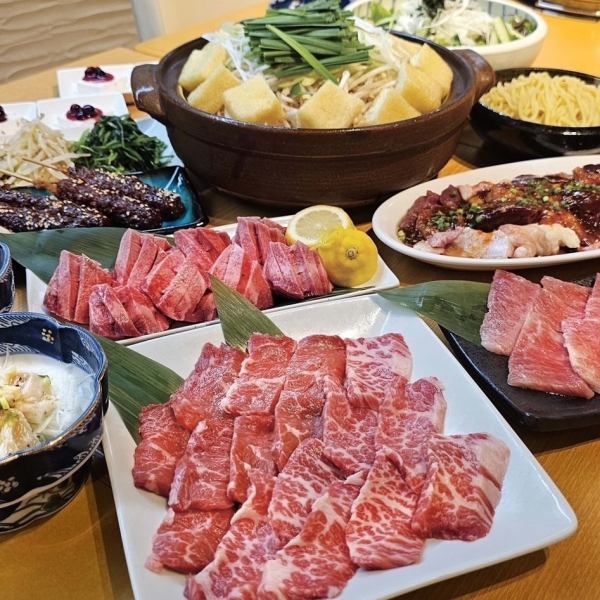 【秋田川反店限定コース！】100分飲放付/和牛盛りと赤から鍋のプレミアム焼肉コース～全12品6600円(税込)～