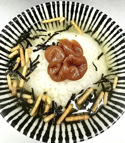 お茶漬け(梅・明太子)