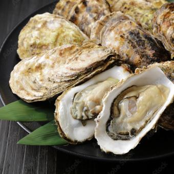 【牡蠣尽くしコース】 焼き牡蠣・牡蠣鍋と ゆったり3時間飲み放題付 全8品５，５００円