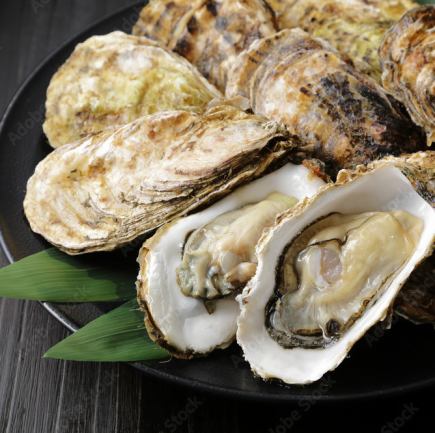 【牡蠣尽くしコース】 焼き牡蠣・牡蠣鍋と ゆったり3時間飲み放題付 全8品5,500円