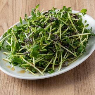 Pea sprout choregi salad