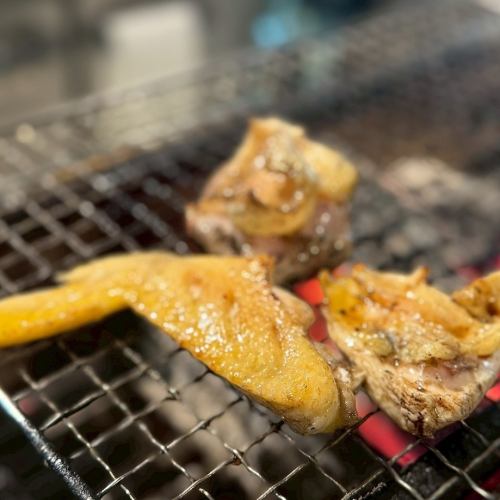 ライブキッチン◎