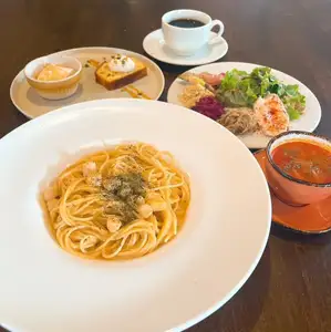 컨첼트 세트