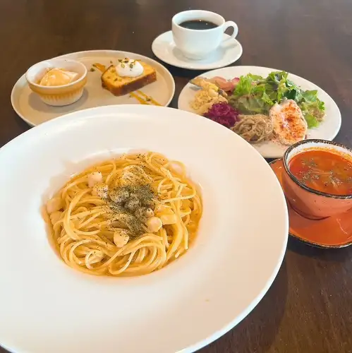 컨첼트 세트