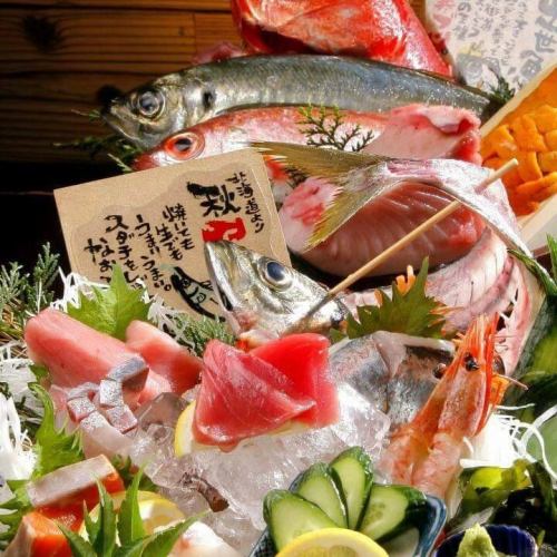 本日のお造り盛り合わせ