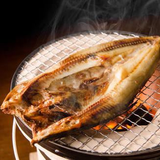 Oversized rich atka mackerel from Rausu, Shiretoko