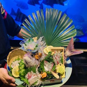 售完為止「滿滿一盤」「當季活魚整條供應」博覽會！ ！附2小時無限暢飲3200日圓⇒2200日圓