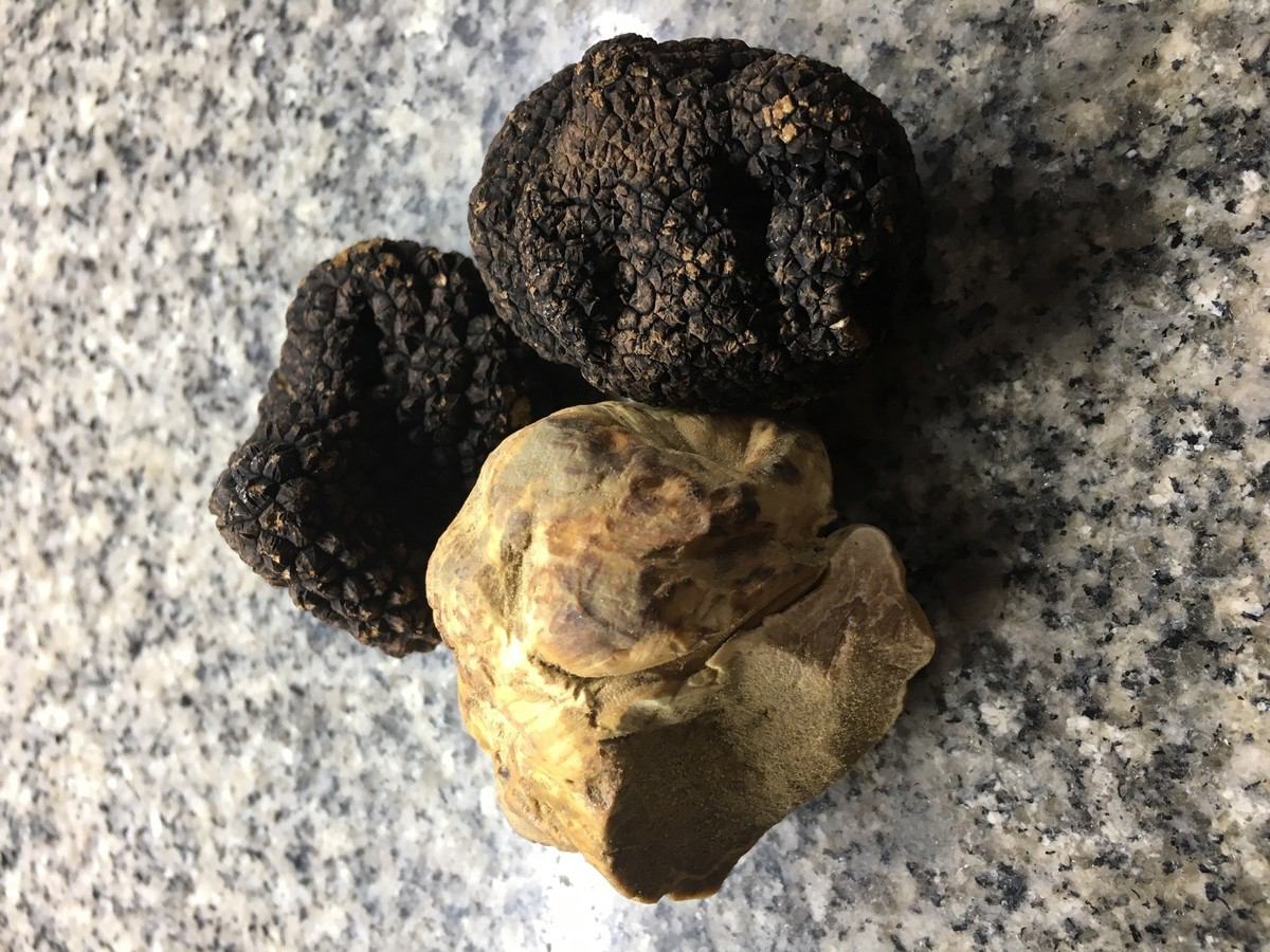 White truffles & black truffles are in stock!