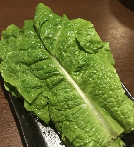 包み野菜（5枚）