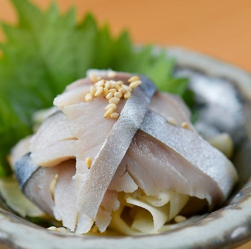 Garishime mackerel