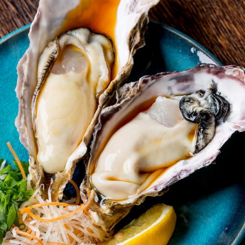 『スタンドB』の生牡蠣・海鮮食べ飲み放題がおすすめ♪生牡蠣やカキフライまで★