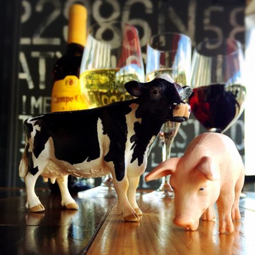 At the station, red wine & drink ★ Cattle and pig welcome ♪