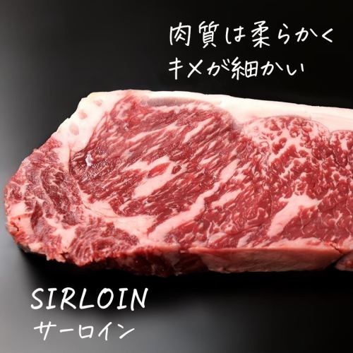 サーロイン【100g】