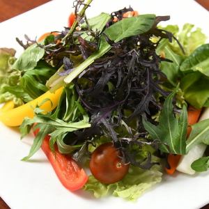 Fresh seasonal vegetable salad