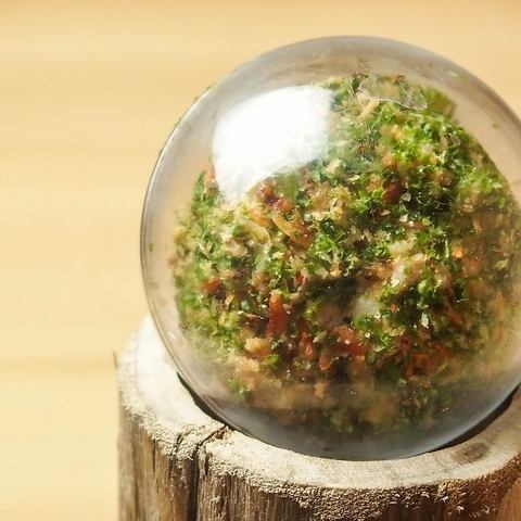 杉玉看板メニュー★ポテサラは絶対食べて！