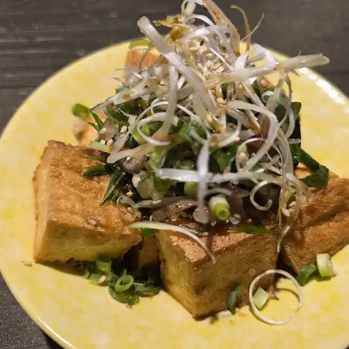 厚揚げ薬味まみれ
