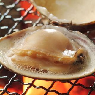 White clam grilled