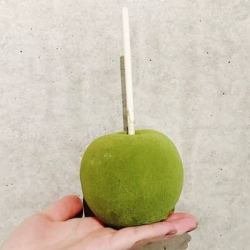 抹茶