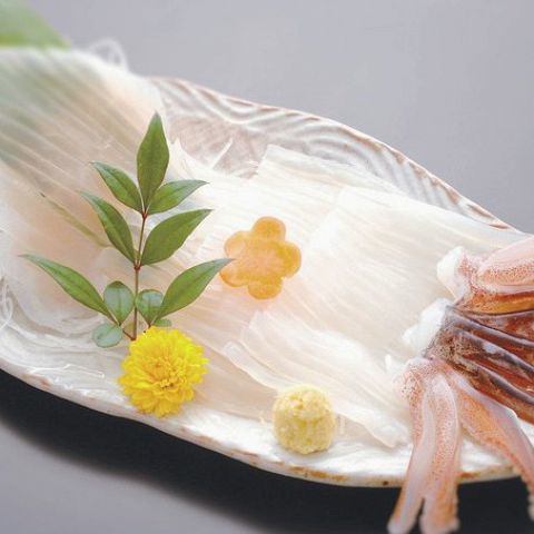 live squid sashimi