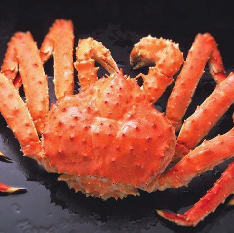 Live king crab
