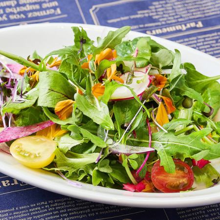 이시카와현산 리프와 야채의 쓴 샐러드