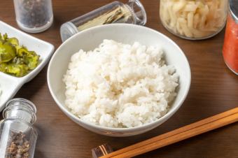 Rice (regular)