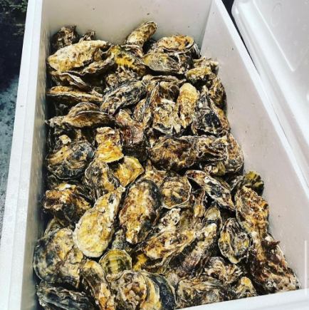 无限量供应蒸牡蛎,用餐时间120分钟,最后点餐时间90分钟。