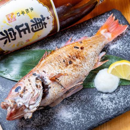 设有包间■品尝金泽的时令美味■野狗黑生鱼片、野狗黑盐烤肉等8道菜套餐，含无限畅饮，5,000日元