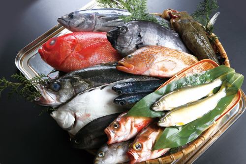 Fresh seafood ordered from fishing ports nationwide!